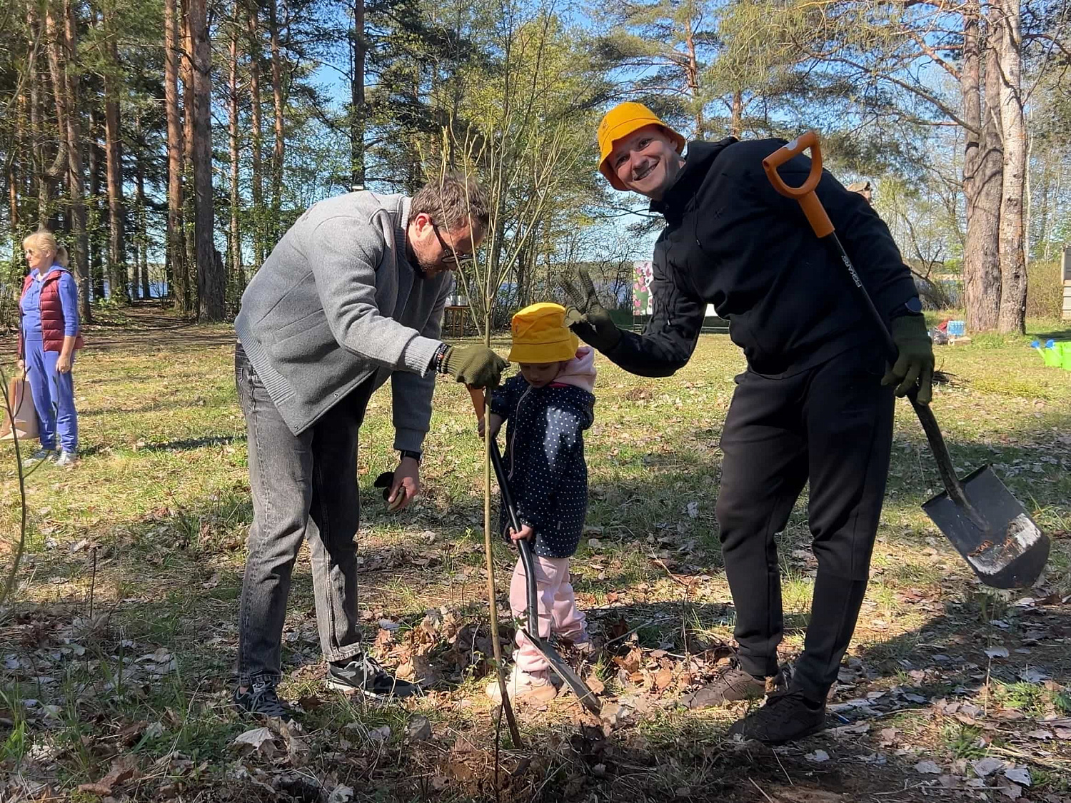 Ежегодная посадка деревьев