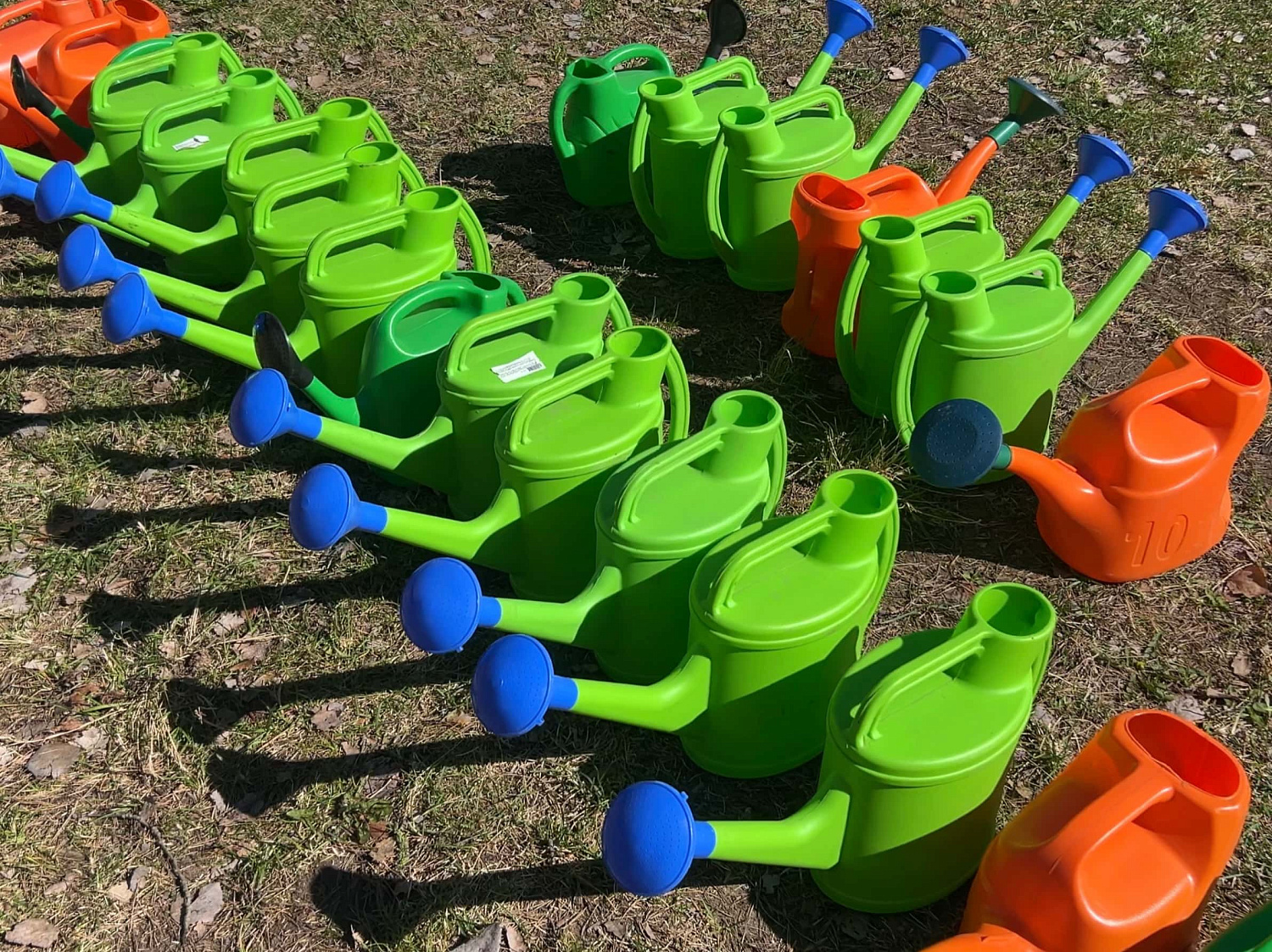 Ежегодная посадка деревьев